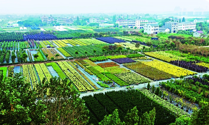 海寧市虹越國(guó)際花卉城-無人值守停車場(chǎng)系統(tǒng)